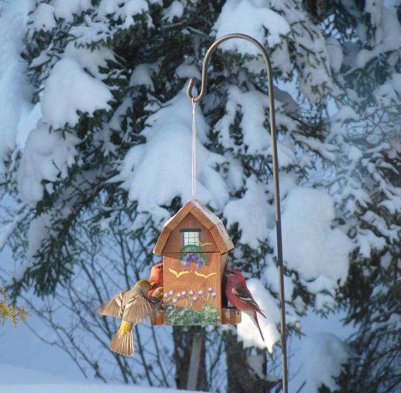 Gîte de la Rivière Chibougamau Esterno foto